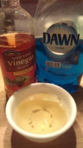 How To Get Rid Of Fruit Flies With Apple Cider Vinegar And Dish Soap