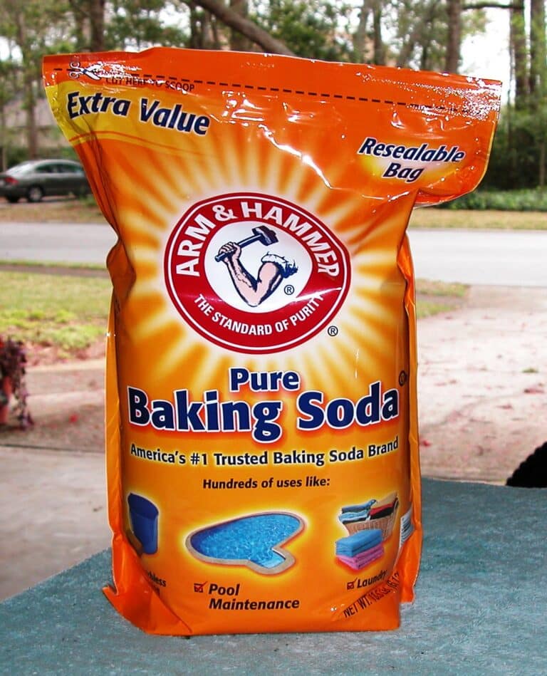 Does Baking Soda Kill Fleas?