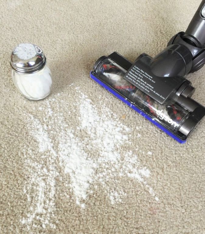 How To Use Salt To Kill Fleas In Carpet