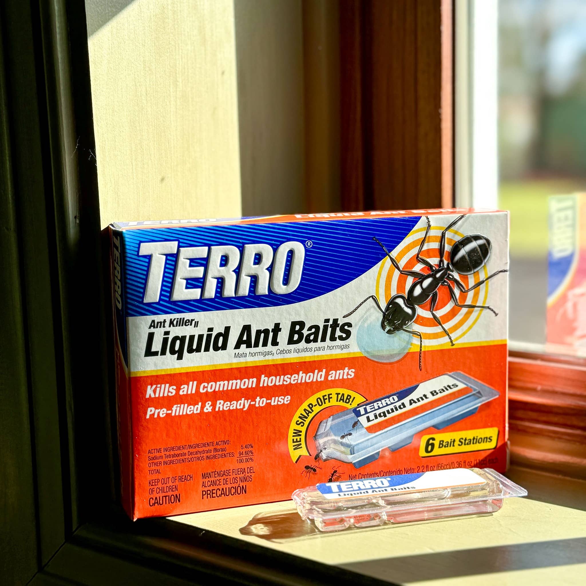 Terro to get rid of ants