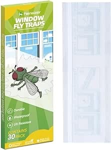 get rid of flies indoors 