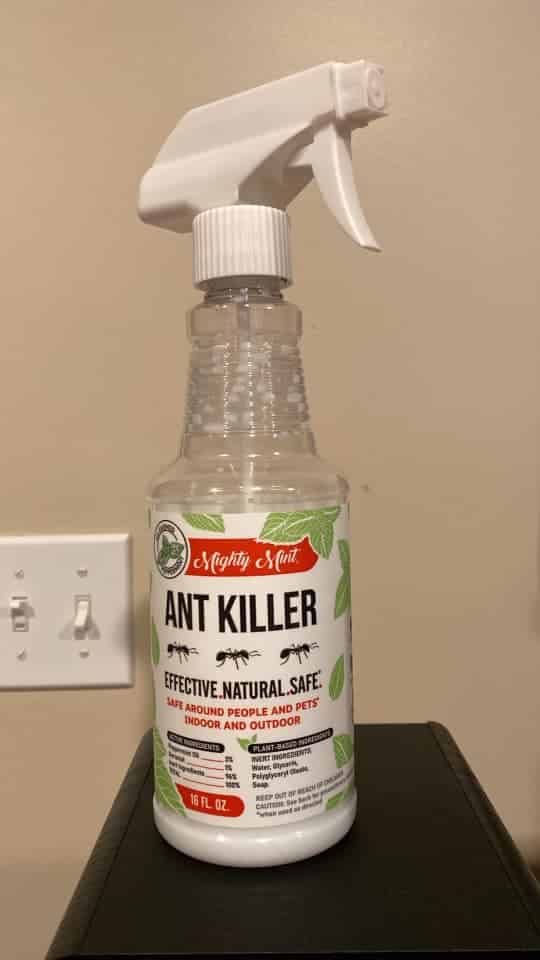 ant killer spray