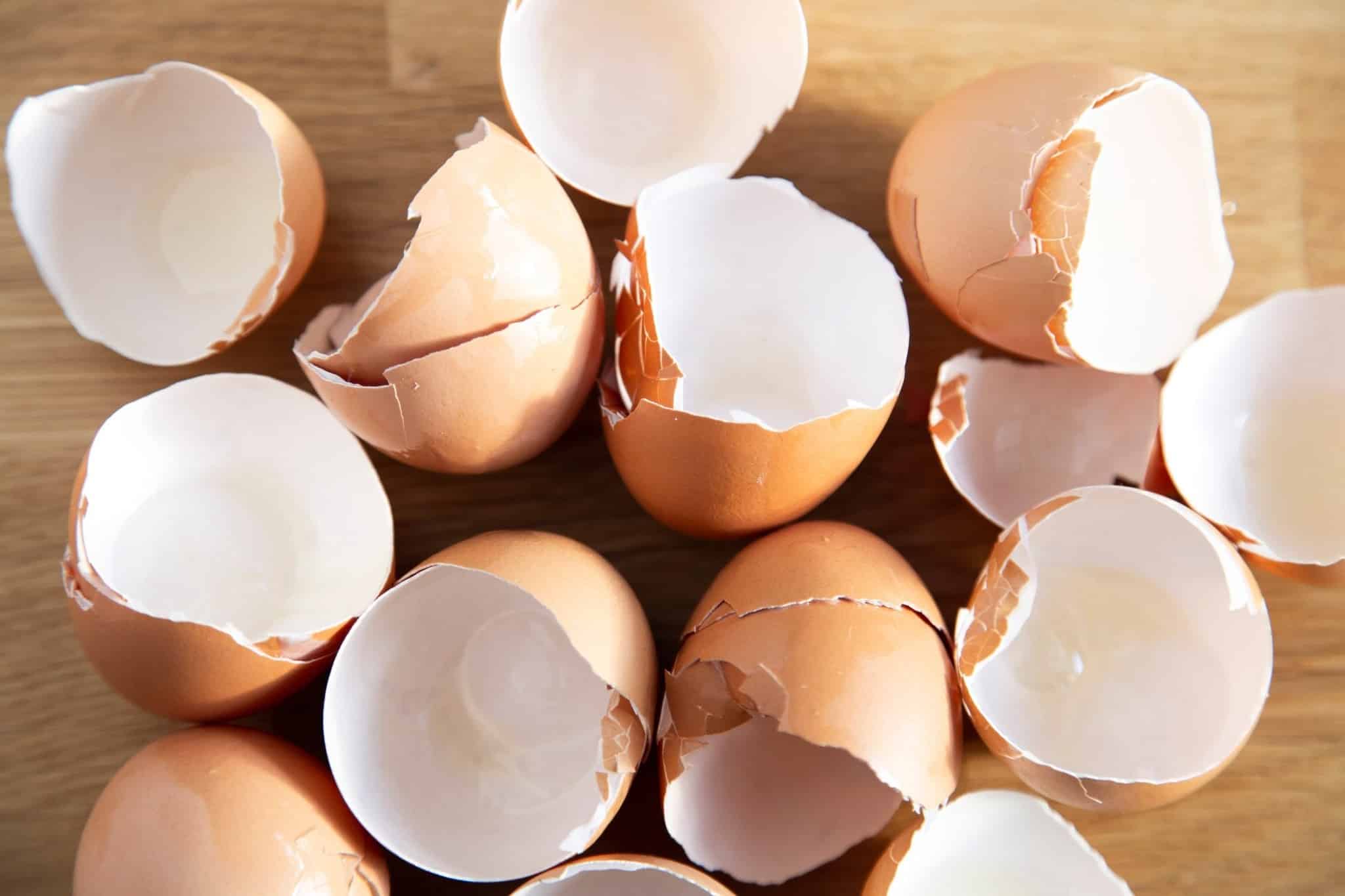 Eggshells As Organic Pest Control